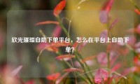 欣光璀璨自助下单平台，怎么在平台上自助下单？