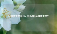 lsg自助下单平台，怎么在LSG自助下单？