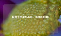 自助下单平台小凯，小凯怎么用？
