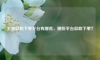 王者自助下单平台有哪些，哪些平台自助下单？