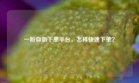 一粉自助下单平台，怎样快速下单？