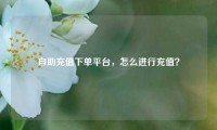自助充值下单平台，怎么进行充值？