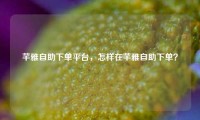 芊雅自助下单平台，怎样在芊雅自助下单？