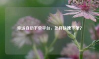 幸运自助下单平台,怎样快速下单?