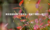 淘宝逛逛自助下单平台，逛逛下单怎么用？