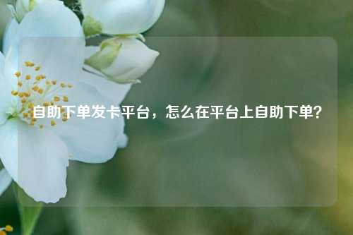 自助下单发卡平台，怎么在平台上自助下单？