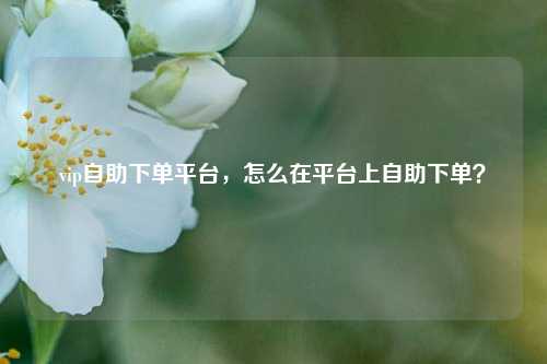 vip自助下单平台，怎么在平台上自助下单？