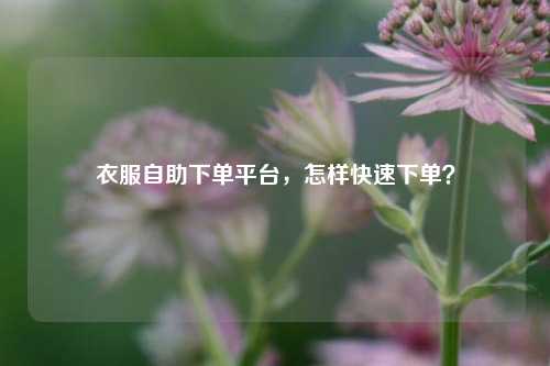 衣服自助下单平台，怎样快速下单？