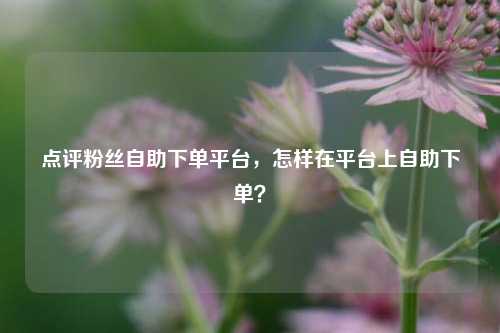 点评粉丝自助下单平台，怎样在平台上自助下单？