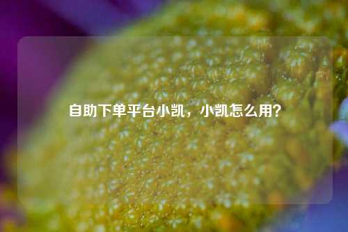 自助下单平台小凯，小凯怎么用？
