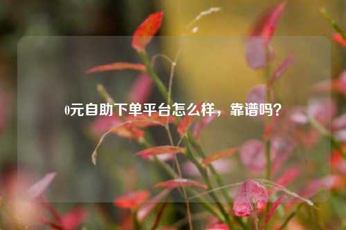 0元自助下单平台怎么样，靠谱吗？