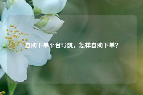 自助下单平台导航，怎样自助下单？