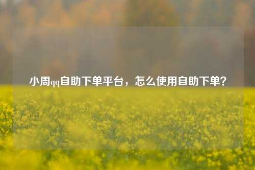 小周qq自助下单平台，怎么使用自助下单？