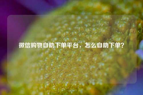 微信购物自助下单平台，怎么自助下单？
