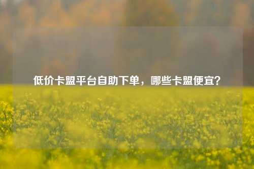 低价卡盟平台自助下单，哪些卡盟便宜？