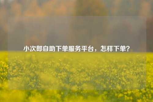 小次郎自助下单服务平台，怎样下单？