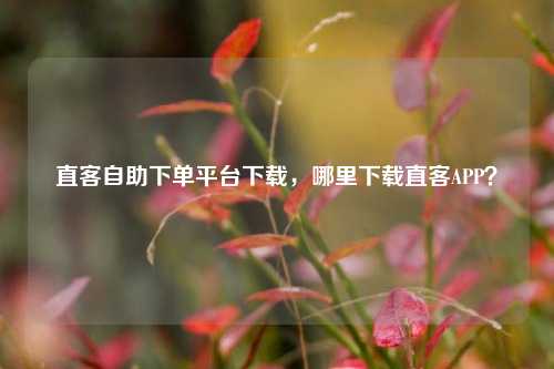 直客自助下单平台下载，哪里下载直客APP？