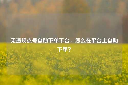 无违规点号自助下单平台，怎么在平台上自助下单？