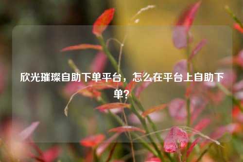 欣光璀璨自助下单平台，怎么在平台上自助下单？