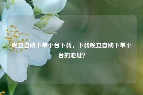 晚安自助下单平台下载，下载晚安自助下单平台的地址？