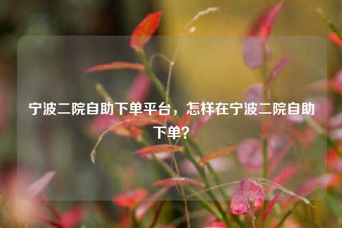 宁波二院自助下单平台，怎样在宁波二院自助下单？