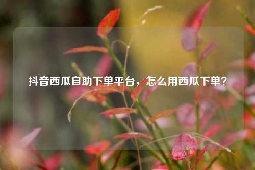 抖音西瓜自助下单平台，怎么用西瓜下单？