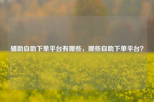 辅助自助下单平台有哪些，哪些自助下单平台？